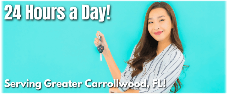 Locksmith Greater Carrollwood FL